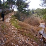 aliki_ahogy meg nem ismertuk_ 22.02.2015 032